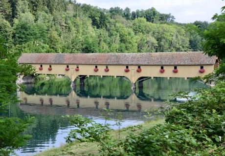 Rheinau/Grenzbrücke/Altenburg 5.8.19_4183
