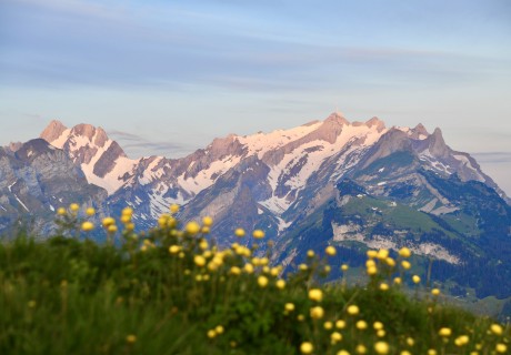 Fänerenspitz mit Sicht zum Alpstein 28.05.2020_7584